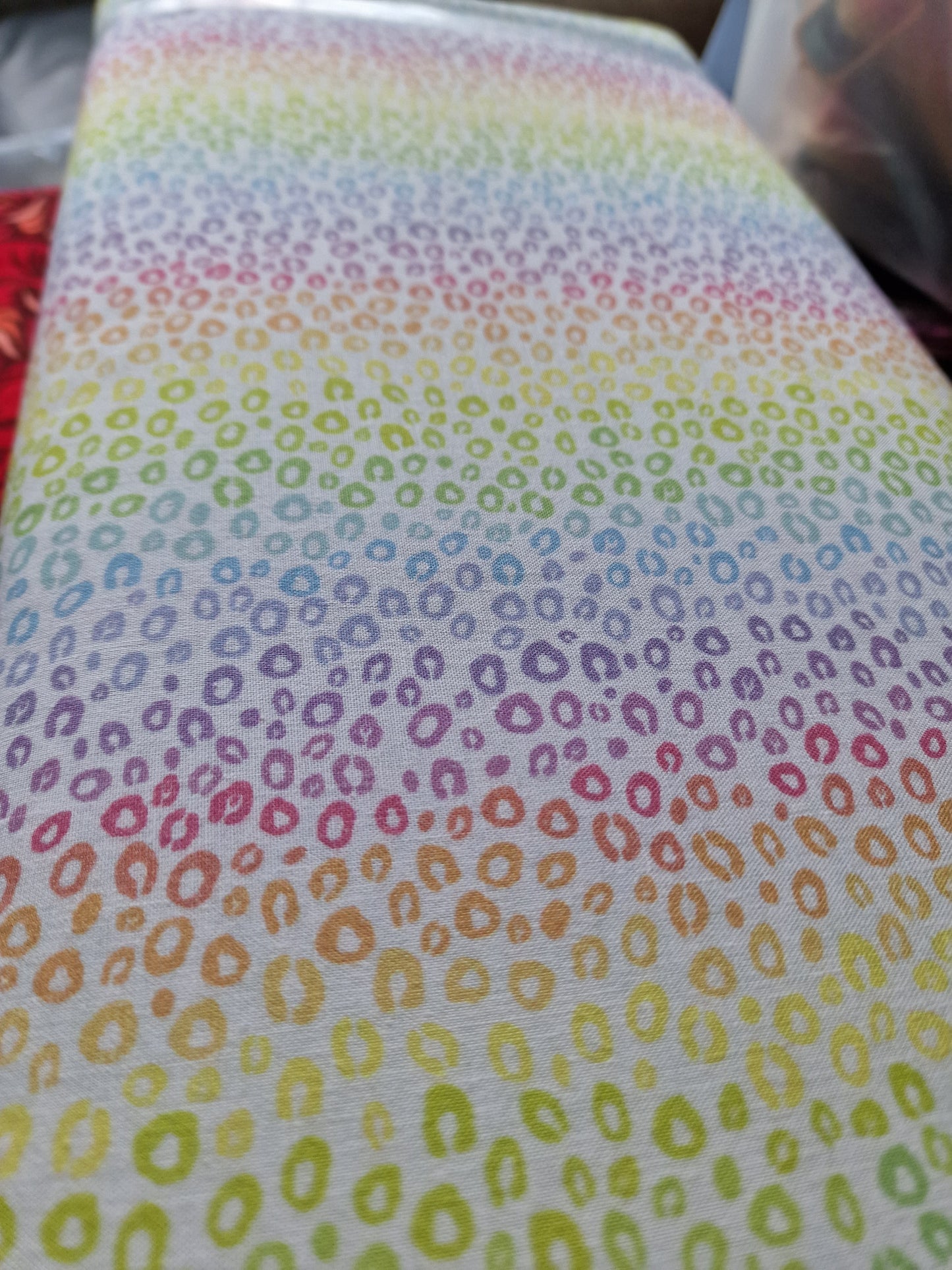 Rainbow Leapard Print cotton
