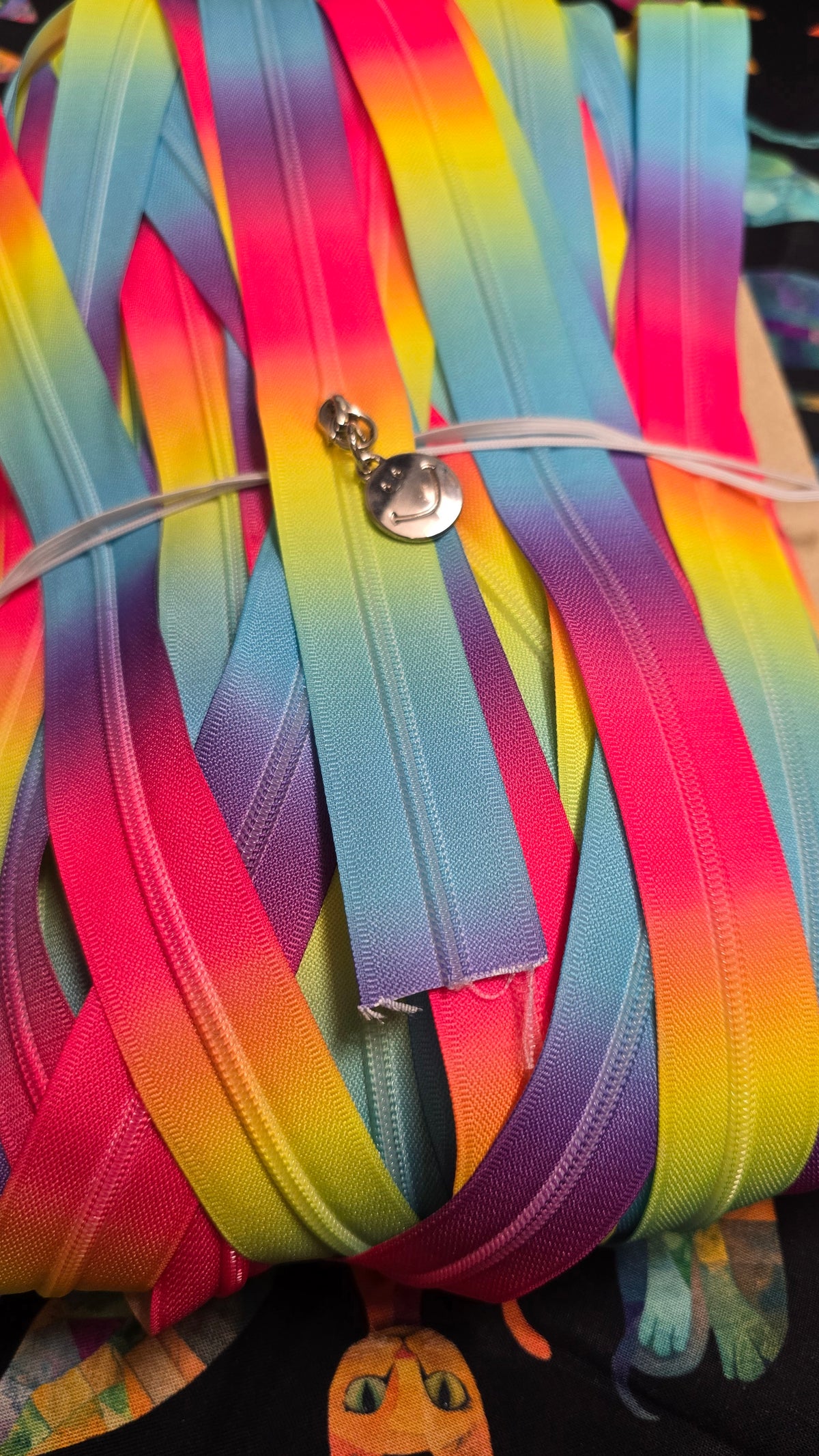 Size 3#  RAINBOW BRIGHT continuous zipper tape
